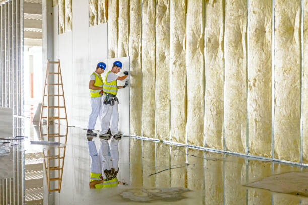 Best Types of Insulation in Clewiston, FL